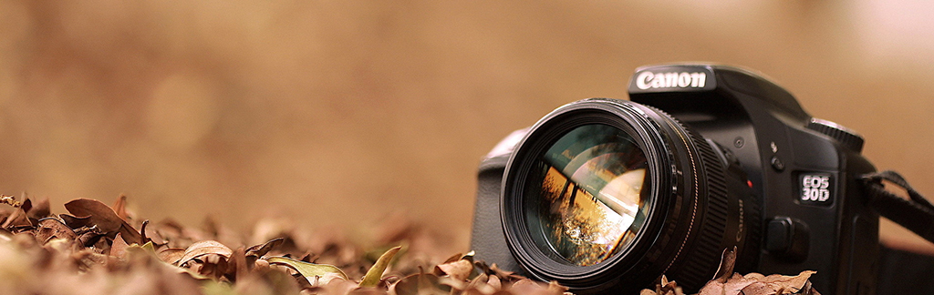 Photography Service